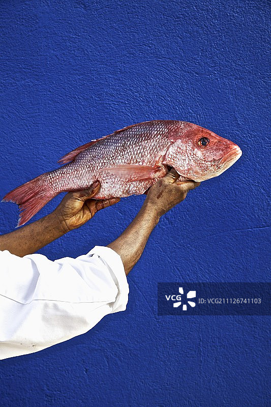 深色皮肤的男人拿着红鲷鱼图片素材
