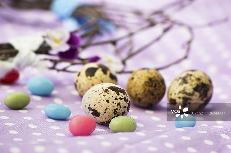 斑点布上的鹌鹑蛋和糖制蛋图片素材