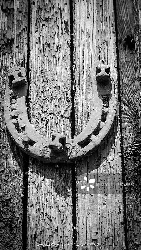 俄罗斯霍穆托沃图片素材