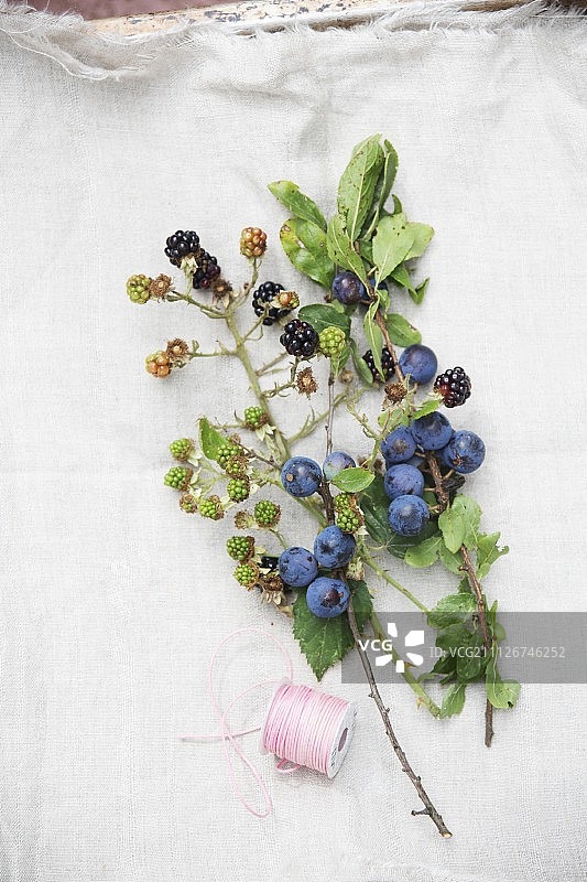 亚麻布上的黑莓和黑刺李嫩枝与果实图片素材