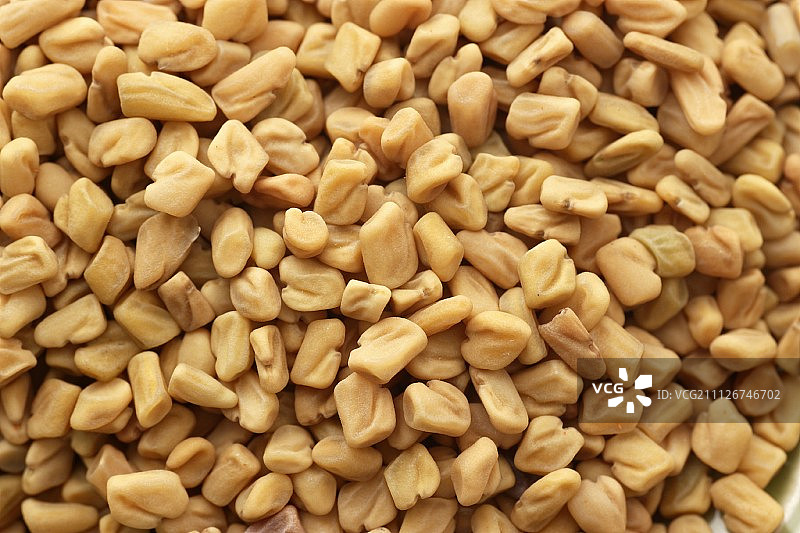 胡芦巴籽（完整画面）图片素材