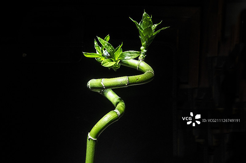 无标题的图片素材