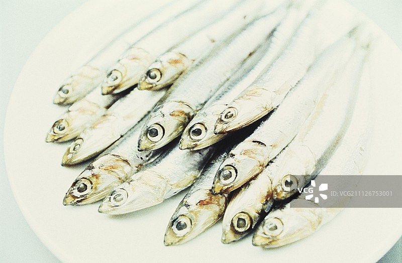 新鲜沙丁鱼图片素材