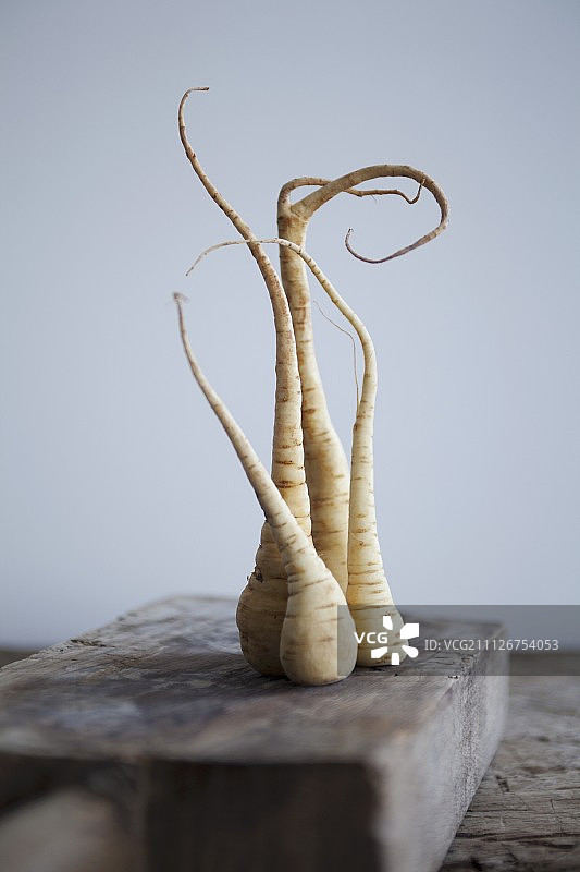 盘子上的完整欧洲防风草图片素材