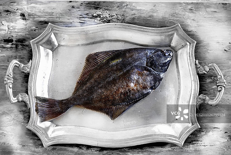 银盘上的完整比目鱼图片素材