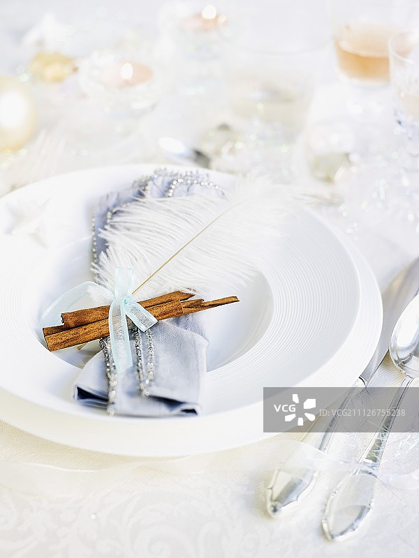 带有肉桂棒和鸵鸟毛的圣诞节餐具图片素材