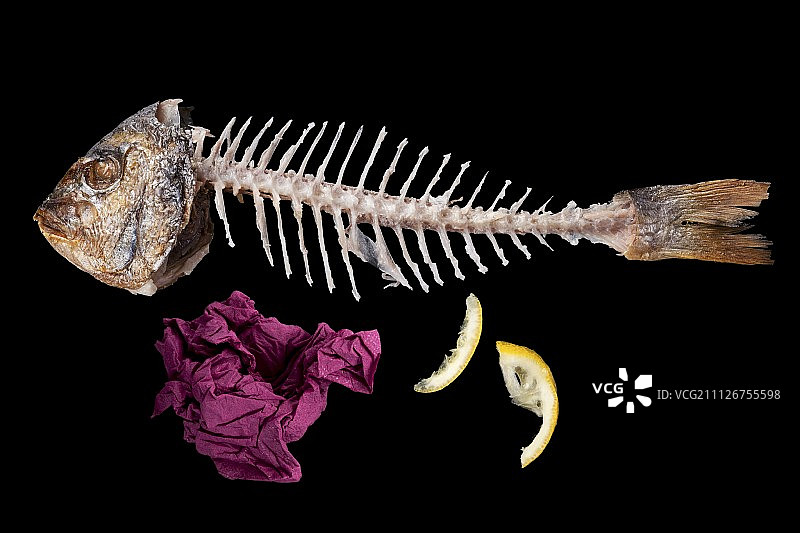 吃鱼后图片素材