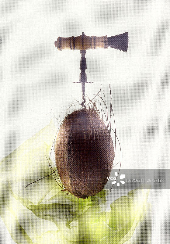 带螺旋钻的椰子图片素材