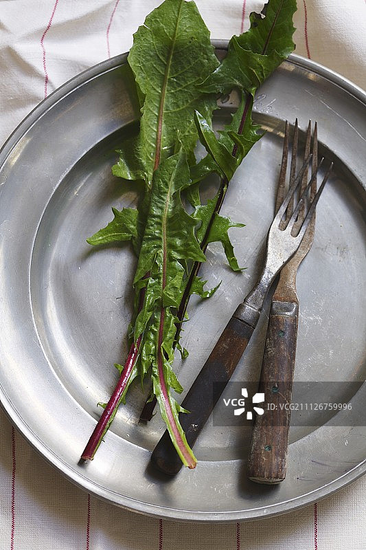 乡村风的蒲公英蔬菜摆盘图片素材