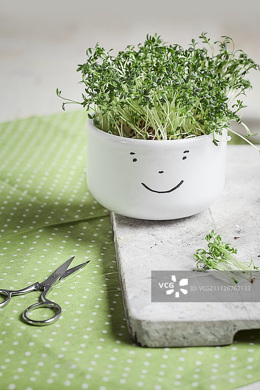 白色碗里的水芹（碗上画着笑脸），旁边是剪刀图片素材