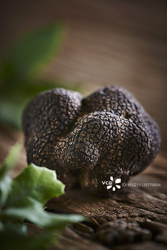 黑松露图片素材