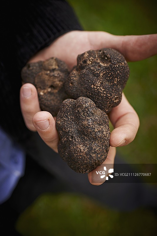 三颗松露图片素材