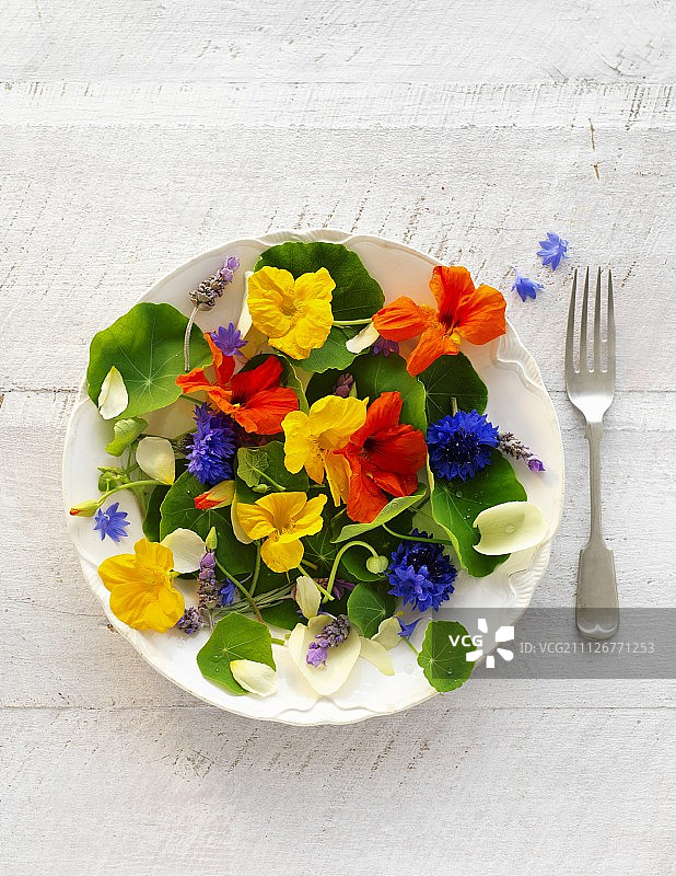 一盘新鲜食用花卉图片素材