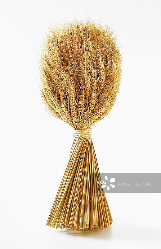 一捆麦穗图片素材