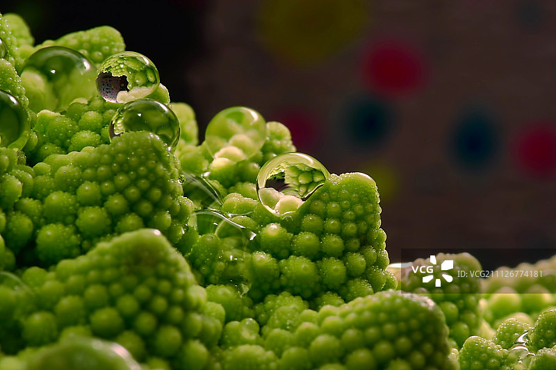 罗马花椰菜或月球景观？图片素材