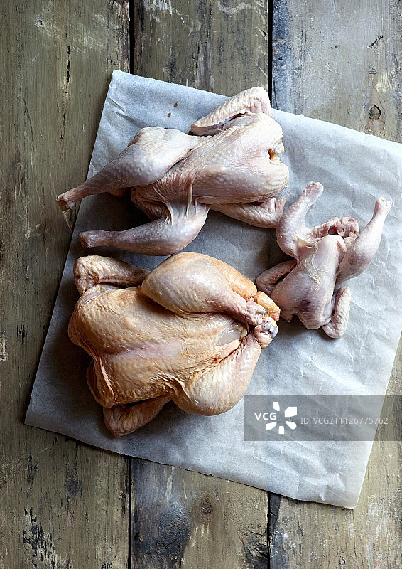 羊皮纸上的鸡和小鸡图片素材