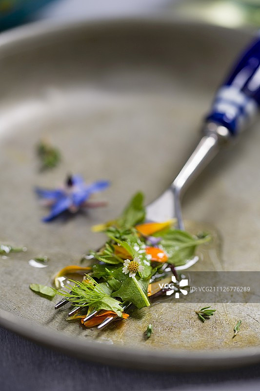 叉子上的野生香草沙拉图片素材