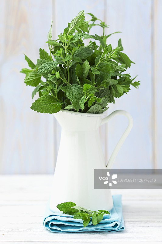 水罐中的新鲜柠檬香蜂草图片素材