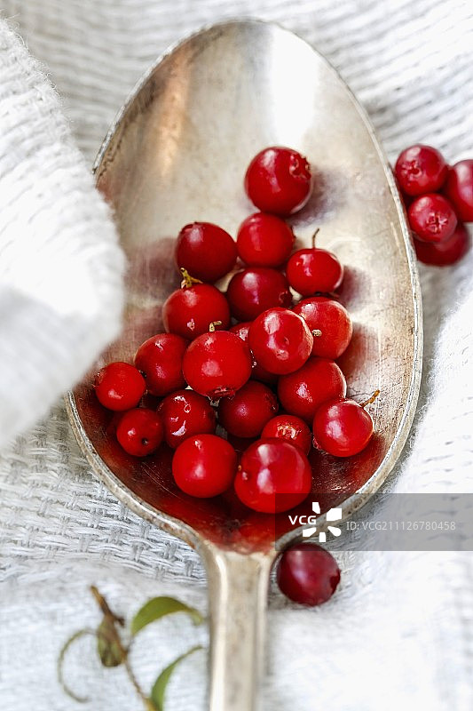 一勺蔓越莓图片素材