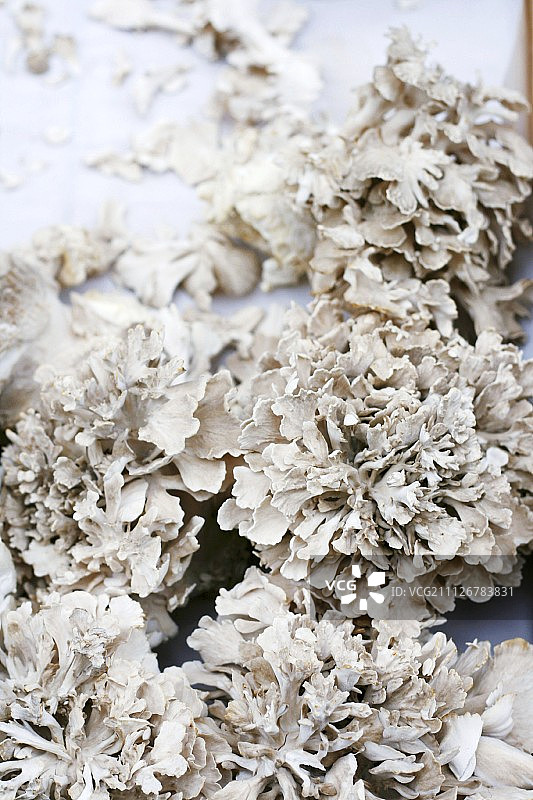 市场摊位上的舞茸蘑菇图片素材