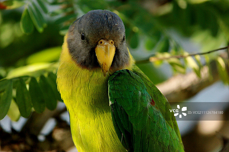 注视着你图片素材