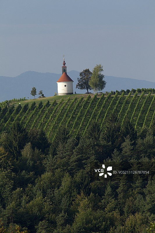 施蒂里亚的小教堂葡萄园图片素材