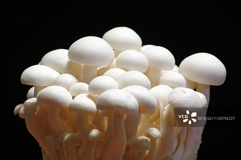 中国台湾大溪图片素材