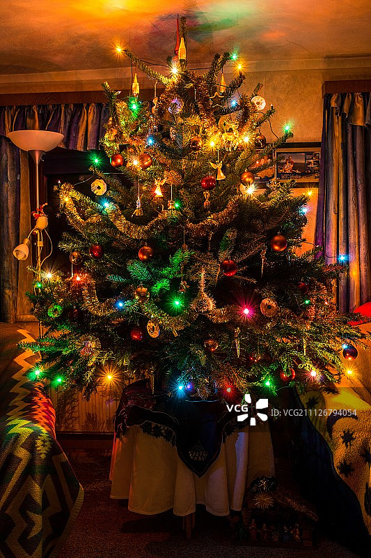 2014年圣诞树图片素材