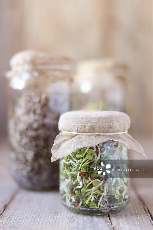 发芽罐中各种豆芽图片素材