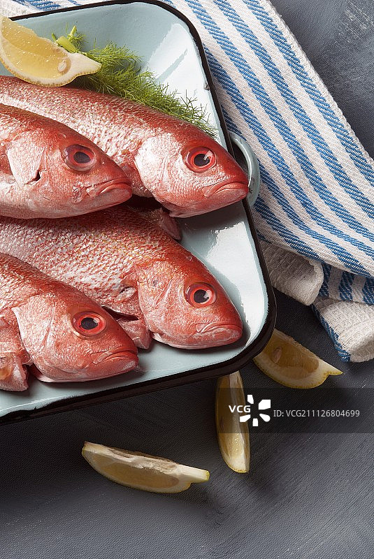 配莳萝和柠檬的新鲜红色鲷鱼图片素材
