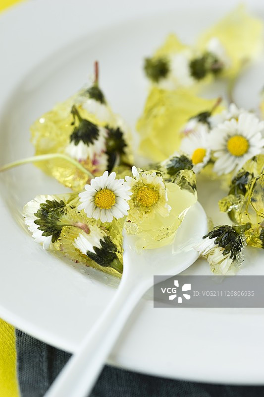 雏菊柠檬果冻图片素材