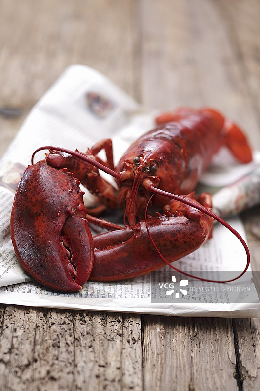 报纸上的整只熟龙虾图片素材