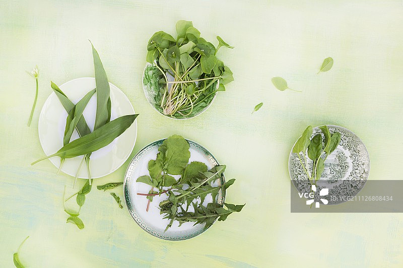 野生大蒜、马齿苋、萝卜叶、蒲公英和酢浆草图片素材