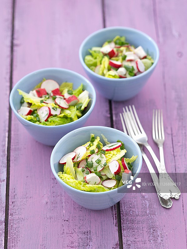 罗马生菜配蟹肉棒、萝卜、莳萝、洋葱、黄瓜和油醋汁图片素材