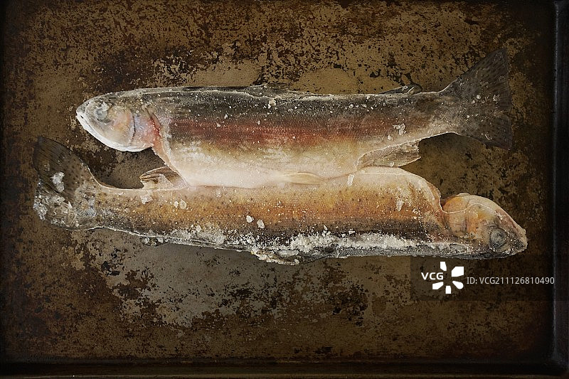 烤盘上的两条冷冻虹鳟鱼图片素材