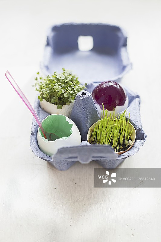 装满果冻、小麦草和火箭芽的复活节彩蛋图片素材