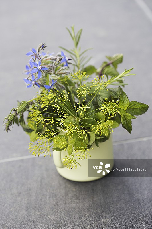 黄色搪瓷杯中的莳萝花、薄荷、琉璃苣花、香薄荷、迷迭香和柠檬香蜂草图片素材