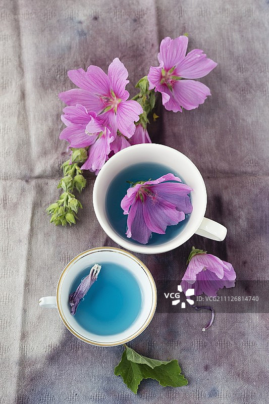 用野生锦葵制成的锦葵茶图片素材