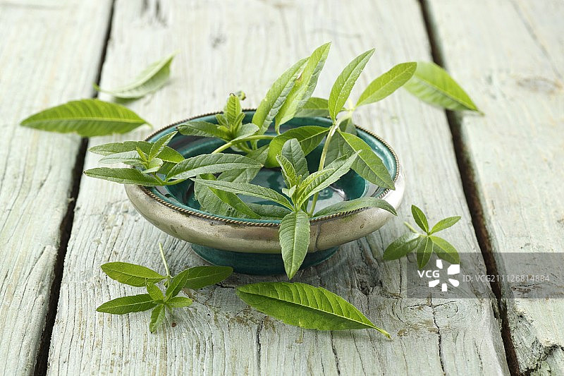 一碗柠檬香蜂草图片素材