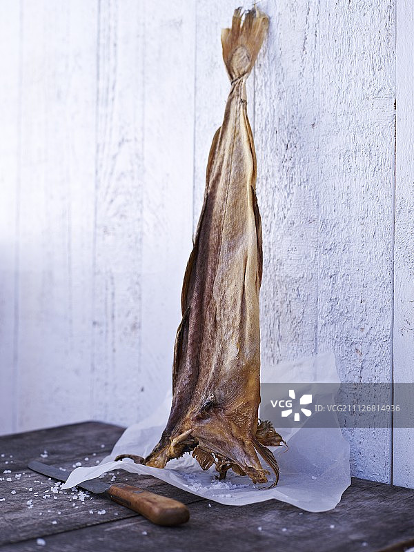 羊皮纸上的 Stock fish图片素材