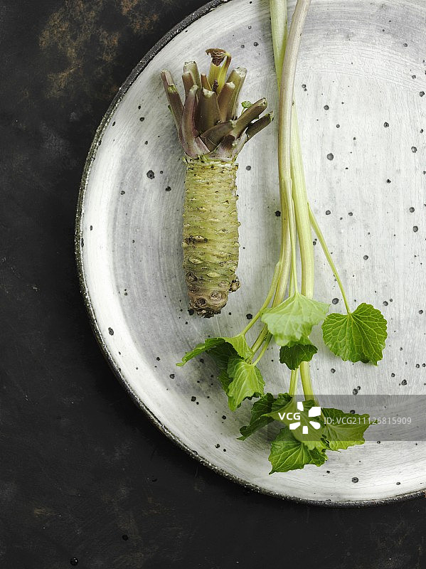 新鲜山葵植物图片素材
