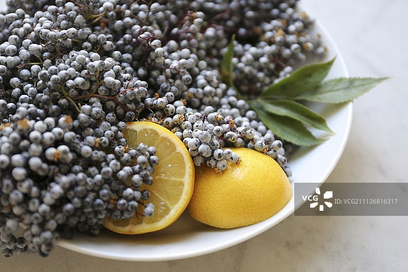 接骨木果和柠檬，在白色碗中，置于大理石面上图片素材