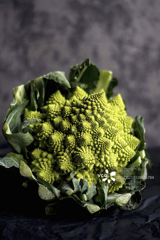 深色背景上的宝塔花菜图片素材