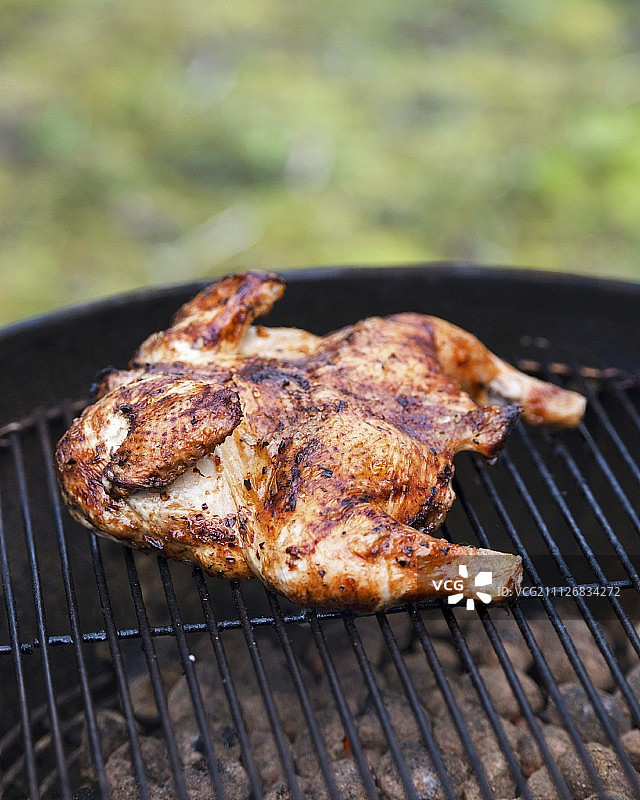 香辣腌制烤鸡肉图片素材