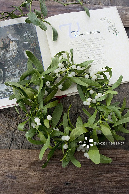 开放的书本上的槲寄生花环图片素材