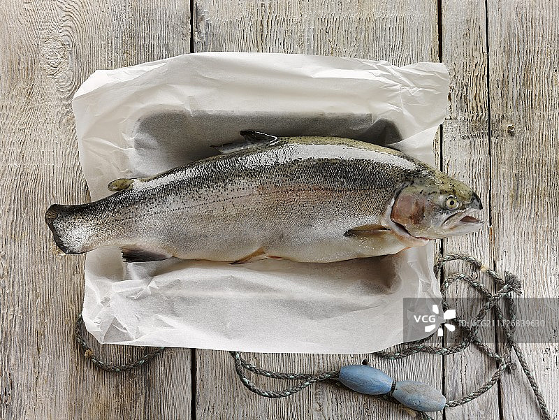 羊皮纸上的新鲜三文鳟鱼图片素材