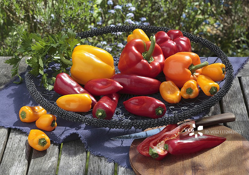 花园桌子上金属篮子里的红色和黄色辣椒图片素材