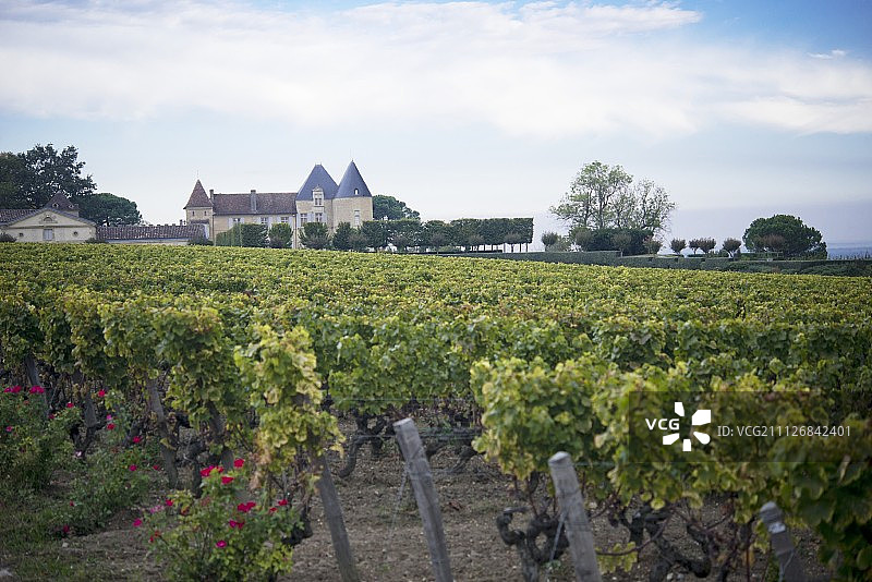 伊甘酒庄，法国酒庄图片素材