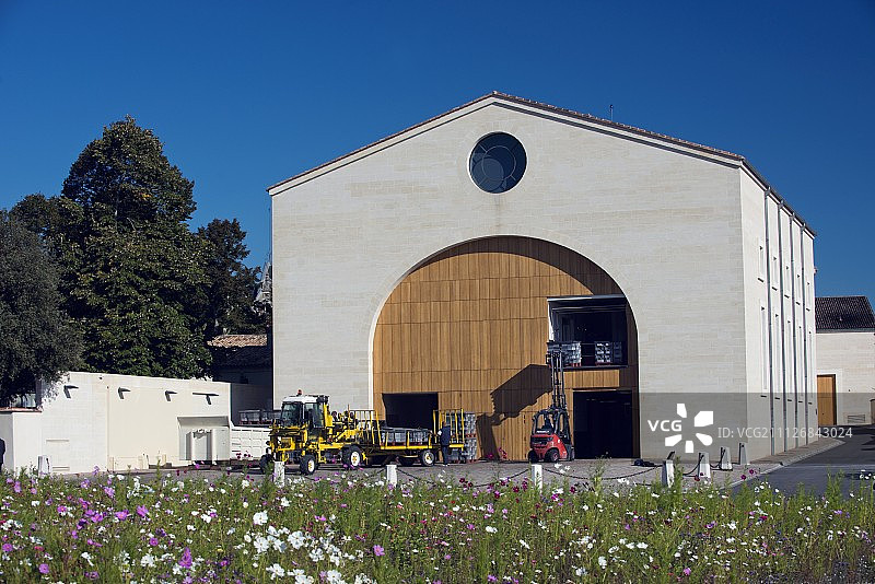 在木桐酒庄用叉车运送葡萄图片素材