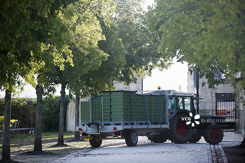 运送到玛歌酒庄的葡萄图片素材